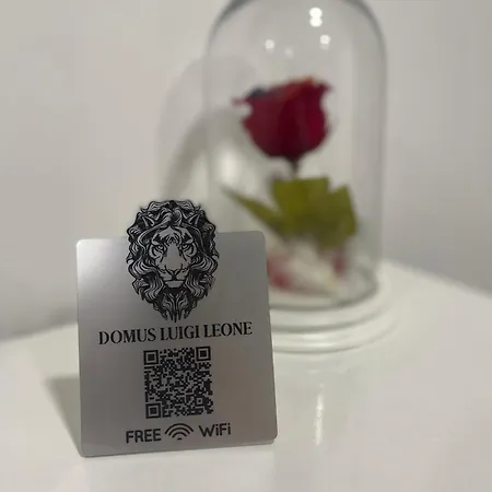 Apartment Domus Leone *